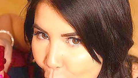 Sapyh bookworm asso balletn mens